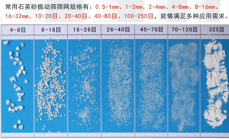 PP电子(中国)官方网站